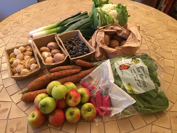 riverford-organic-september-fruit-and-veg-box-contents