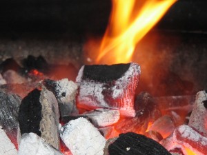 The Hot BBQ Debate: Gas or Coal? (Infographic)